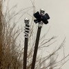 Кольцо для бороды и волос Готический череп на спирали, цвет серебро, 7,0 мм в России